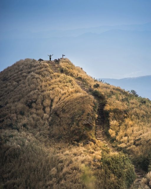 Yangmingshan im Herbst – ein Meer aus Silbergras 🌾🍂
Im November verwandelt sich der Yangmingshan-Nationalpark in ein schimmerndes Meer aus Silbergras (Miscanthus sinensis) – wenn der Wind durch die Halme zieht, glitzert alles im Licht. ✨  Nur 40 Minuten von Taipei entfernt findest du sanfte Hügel, klare Bergluft und weite Ausblicke – perfekt für eine kurze Flucht aus der Stadt.🌿  Pfad- und Aussichtstipps für deinen Ausflug:
Qixing Mountain Trail – der höchste Gipfel Taipeis mit Panorama über Stadt und Meer Qingtiangang Grassland – weite Hänge und goldene Gräser
Xiaoyoukeng Trail – leichte Wanderung mit Blick auf dampfende Quellen  📸 Fototipp:
Am schönsten kurz vor Sonnenuntergang, wenn das Licht das Silbergras in warmes Gold taucht. 🌅  🚗 Anreise:
Von Taipei aus bequem mit Bus oder Scooter erreichbar – ein Tagesausflug ins Naturparadies.  Mit wem würdest du hier am liebsten durchs Silbergrasmeer spazieren? 🌾  📷 Shutterstock  #TaiwanUrlaub #ErlebeTaiwan #Yangmingshan #Taiwan