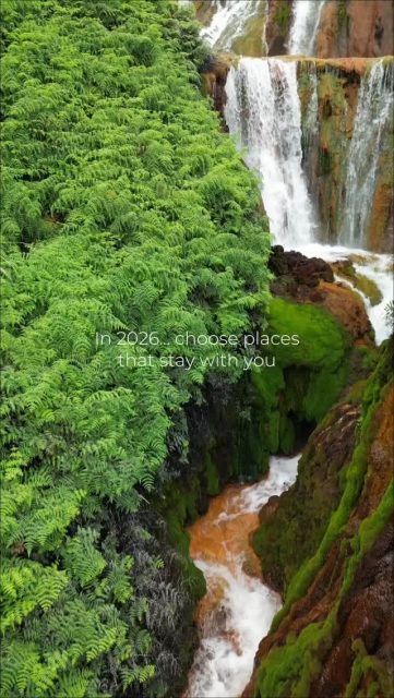 In 2026... choose places that stay with you.  Manche Reisen sind mehr als nur Orte auf einer Karte. Es sind Momente zwischen Bergen und Meer.
Lichter über der Stadt.
Stille Wälder.
Straßen voller Leben und Geschichten.  Taiwan ist kein Trendziel. Es ist ein Ort, der bleibt.  🌿Natur, die dich erdet
🏙Städte, die dich staunen lassen 
🌊Küsten, die den Kopf frei machen  Würde dich so eine Reise 2026 reizen?  🎥 @seb.fa.muc  #TaiwanUrlaub #Taiwan #ErlebeTaiwan #TravelInspiration #AsienReise #NaturTriTtStadt #Fernweh #Reiseziele2026