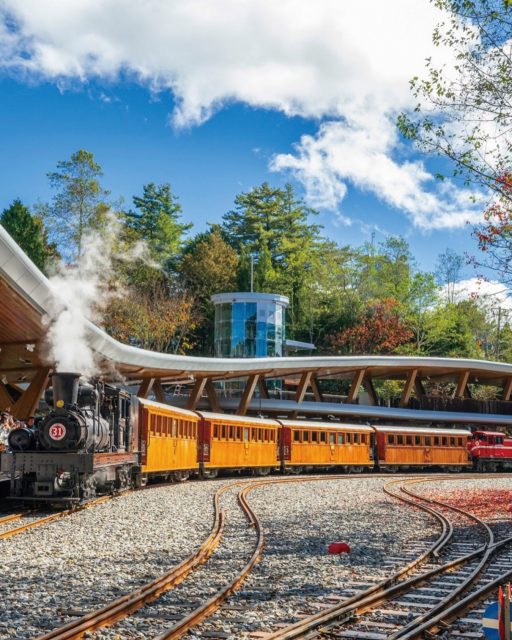 Rails. Trails. Brews with Views. 🚂🌲🍵
Mit der historischen Alishan Forest Railway schlängelst du dich durch Nebelwälder, über Brücken und durch Tunnel hinauf ins Herz von Alishan.  Oben warten uralte Zypressenwälder, Holzstege durch mystische Berglandschaften und Teefelder mit Aussicht – ein Ort, an dem Zugreise, Natur und Teekultur zu einem einzigen Erlebnis verschmelzen.  📍Wie kommt man hin?
Von Taipei erreichst du Alishan in ca. 3,5–4,5 Stunden:  🚅 Hochgeschwindigkeitszug oder Zug nach Chiayi
🚌 Weiter mit Bus in die Berge oder
🚂 Umstieg auf die Alishan Forest Railway für das volle Erlebnis  Gut organisiert, landschaftlich spektakulär – und einfacher, als viele denken.  💡Fun Fact:
Der berühmte Alishan-Sonnenaufgang ist so beliebt, dass es eigene Züge nur für Sunrise-Fahrten gibt. 🌄🚂  Hier geht es nicht nur ums Ankommen. Hier ist schon der Weg das Highlight.  🚂 oder 🌲– was reizt dich mehr: die Zugfahrt oder die Waldpfade?  📷 Taiwan Tourism Administration  #TaiwanUrlaub #ErlebeTaiwan #Alishan #AlishanRailway #Zugreisen