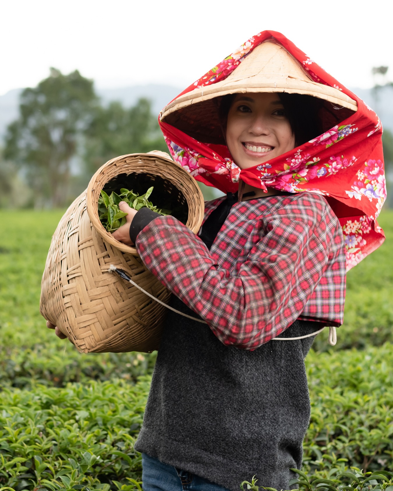 🌸 Internationaler Frauentag  Heute feiern wir Frauen auf der ganzen Welt – ihre Stärke, ihren Mut und die vielen Wege, auf denen sie unsere Gesellschaft jeden Tag prägen.  Auch in Taiwan tragen Frauen mit Leidenschaft, Kreativität und Tatkraft dazu bei, Traditionen zu bewahren, Gemeinschaft zu stärken und neue Perspektiven zu schaffen – in den Städten, in den Bergen und im Alltag.  Danke an alle Frauen, die inspirieren, neue Wege gehen und die Welt jeden Tag ein Stück heller machen.  ✨ Happy International Women’s Day. 🧡  📷 Shutterstock  #InternationalWomensDay #Weltfrauentag #ThankYouWomen #EmpoweredByHer #TaiwanUrlaub