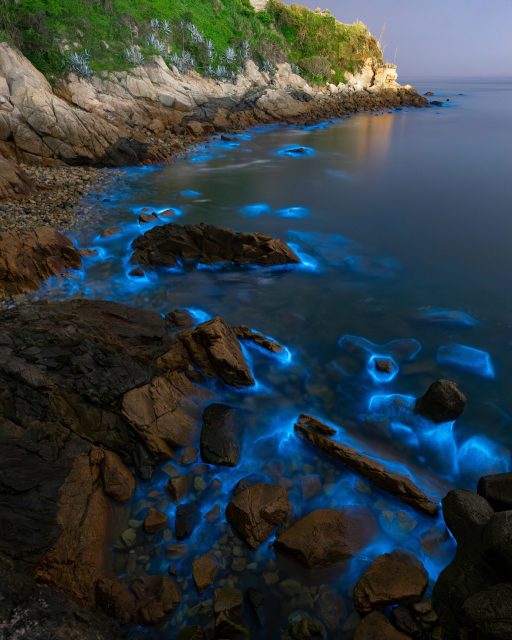 Wenn das Meer zu leuchten beginnt… ✨🌊  Auf den Matsu-Inseln verwandeln sogenannte „Blue Tears“ die Küste in ein fast unwirkliches Naturschauspiel – Millionen biolumineszenter Mikroorganismen lassen das Wasser nachts in intensivem Blau erstrahlen.  Ein Moment, der sich kaum beschreiben lässt – aber für immer bleibt.  Warst du schon einmal Zeuge eines leuchtenden Meeres? ✨  📷 Shutterstock  #TaiwanUrlaub #MatsuIslands #BlueTears #HiddenGem #AsienReisen #BucketListMoment
