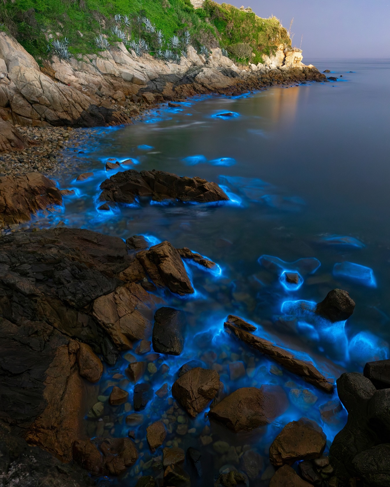 Wenn das Meer zu leuchten beginnt… ✨🌊  Auf den Matsu-Inseln verwandeln sogenannte „Blue Tears“ die Küste in ein fast unwirkliches Naturschauspiel – Millionen biolumineszenter Mikroorganismen lassen das Wasser nachts in intensivem Blau erstrahlen.  Ein Moment, der sich kaum beschreiben lässt – aber für immer bleibt.  Warst du schon einmal Zeuge eines leuchtenden Meeres? ✨  📷 Shutterstock  #TaiwanUrlaub #MatsuIslands #BlueTears #HiddenGem #AsienReisen #BucketListMoment