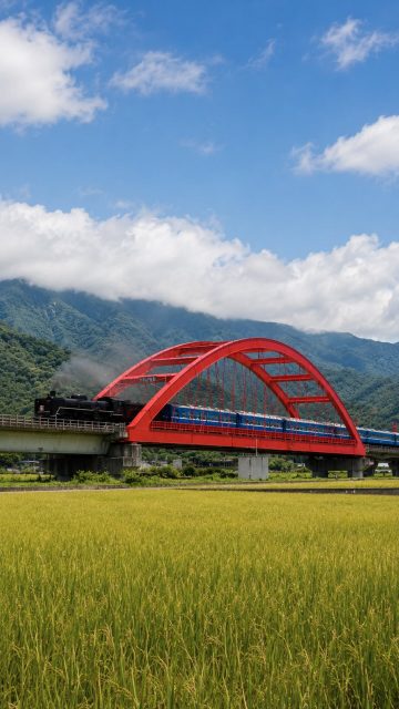 Taiwan entdecken. Schiene für Schiene.  🚆 Taiwan erlebt man nicht nur am Zielort – sondern unterwegs.  Von modernen High-Speed-Verbindungen bis zu historischen Bahnstrecken durch Berge, Küstenlandschaften und kleine Dörfer verbindet Taiwans Rail-Netz Kultur, Natur und Alltag auf besondere Weise.  Mit dem Taiwan High Speed Rail (THSR) reist ihr schnell entlang der Westküste – ideal zwischen Städten wie Taipei, Taichung oder Kaohsiung.  Die Taiwan Railways hingegen führen durch einige der eindrucksvollsten Landschaften der Insel: vorbei an Reisfeldern, Küsten, Bergen und traditionellen Orten, die man sonst oft nicht entdecken würde.  Ob moderne Skyline oder entschleunigte Naturmomente – Taiwan lässt sich wunderbar auf Schienen erleben. 🇹🇼  Mehr Informationen zu den verschiedenen Bahnverbindungen und Railway Travel in Taiwan findet ihr über den Link in unserer Bio.
 Welche Zugstrecke würdet ihr am liebsten fahren?
 🎥 Taiwan Tourism Administration
 #TaiwanUrlaub #ErlebeTaiwan #RailwayTravel #TaiwanRailways #THSR #TrainTravel #Taipei