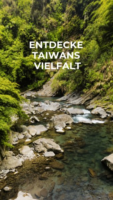 🌿 Zwischen nebelverhangenen Bergen, historischen Zugstrecken und dem pulsierenden Leben Taipehs zeigt Taiwan seine faszinierenden Kontraste. ✨  Natur, Kultur und modernes Stadtleben verschmelzen hier zu einem unvergesslichen Reiseerlebnis.  Welcher Ort wäre euer erster Stopp in Taiwan? 🧡  📷 @seb.fa.muc  #TaiwanUrlaub #ErlebeTaiwan #Taiwan #Alishan #Taipei #VisitTaiwan #DiscoverTaiwan #NatureMeetsCity