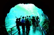 Museum of Marine Biology and Aquarium