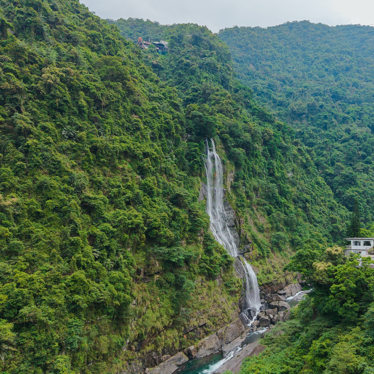 🌿 Mehr als Wolkenkratzer und Nachtmärkte – Taiwan gehört zu den grünsten Reisezielen Asiens.

Über 60 % der Insel sind von Bergen und Wäldern bedeckt. Neun beeindruckende Nationalparks, rauschende Wasserfälle, natürliche heiße Quellen und mehr als 200 Gipfel über 3.000 Metern Höhe machen Taiwan zu einem Paradies für alle, die Natur lieben.

Ob beim Wandern durch uralte Zypressenwälder, auf Panorama-Straßen durch die Berge oder beim Entspannen in einer heißen Quelle – kaum ein anderes Reiseziel verbindet auf so kleiner Fläche eine solche landschaftliche Vielfalt.

Ein perfektes Beispiel ist Shifen – ein beliebtes Ausflugsziel, das sich ideal für einen Tagesausflug von Taipeh aus eignet. Hier erwarten euch beeindruckende Wasserfälle, idyllische Natur und die berühmte Old Street mit ihren Himmelslaternen.

🧡 Welcher Ort würde euch am meisten reizen?

📷 Shutterstock

#TaiwanUrlaub #ErlebeTaiwan #Nationalparks #Hiking #Outdoor #GreenTaiwan #VisitTaiwan #NatureLovers